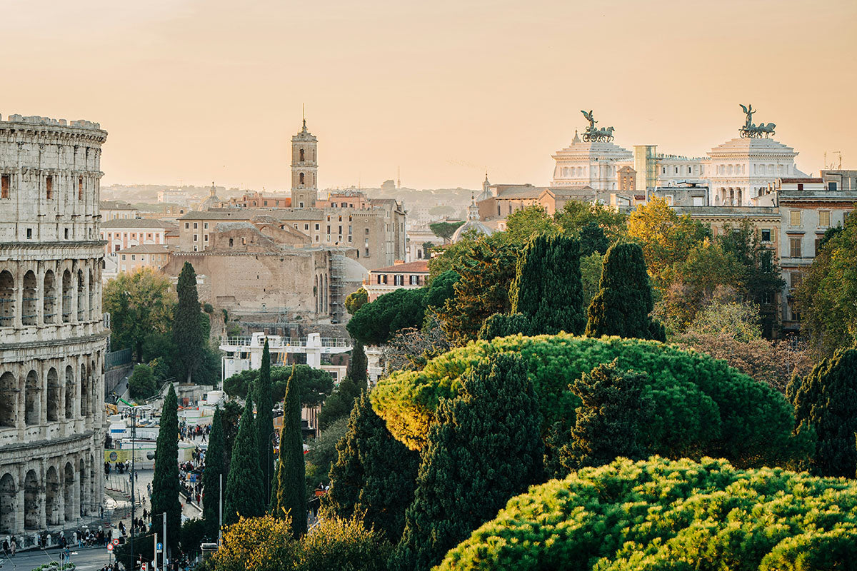 Overhead photo of Rome city